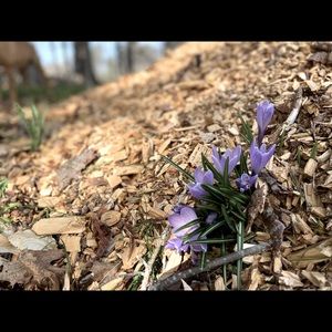 Meet your Posher, Renee